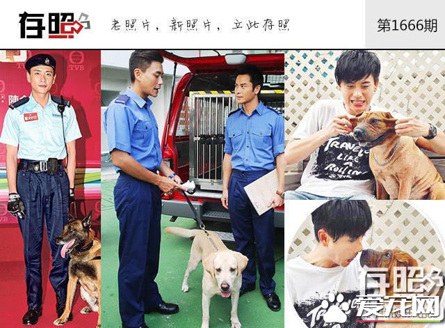 这些明星养的宠物 莫文蔚为离世宠物猫做唱片