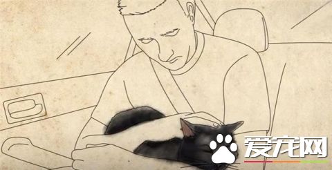 这只小猫的意外出现，却改变了一个美国大兵的一生，我也想要一只