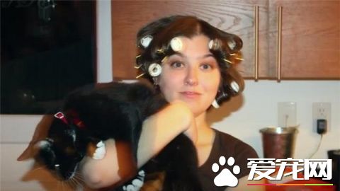 这只小猫的意外出现，却改变了一个美国大兵的一生，我也想要一只