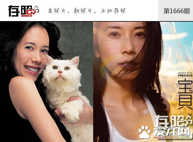 这些明星养的宠物 莫文蔚为离世宠物猫做唱片