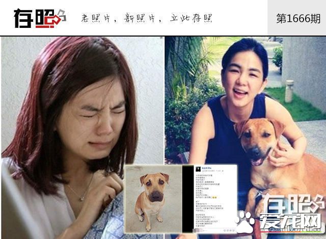 这些明星养的宠物 莫文蔚为离世宠物猫做唱片