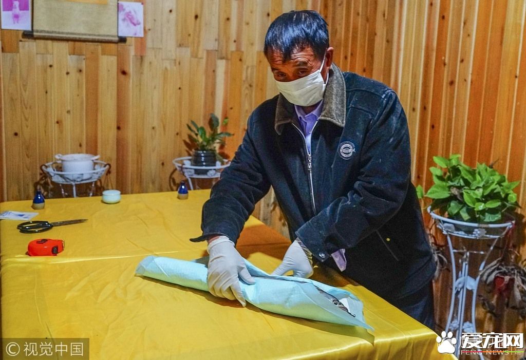 男子金龙鱼死后不忍丢弃请宠物公司火化  宠物火化师称是第一次