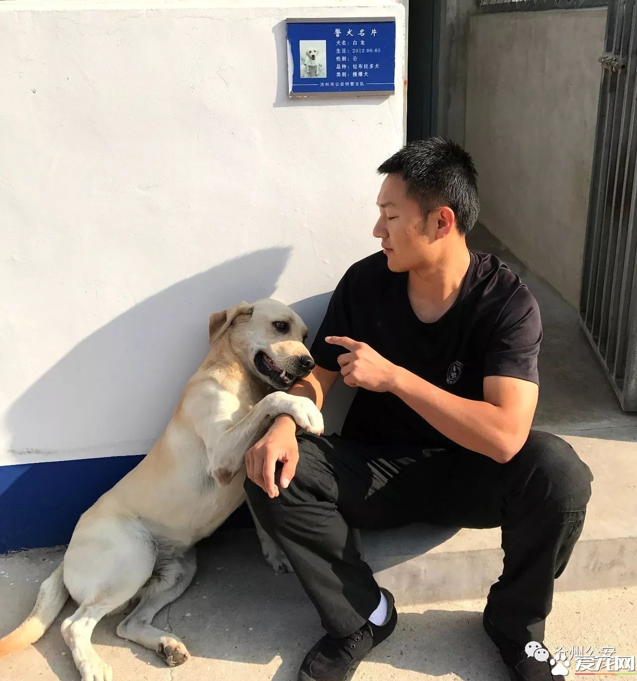 警犬训导员平日的工作是啥样的？揭秘和警犬“谈恋爱”的人