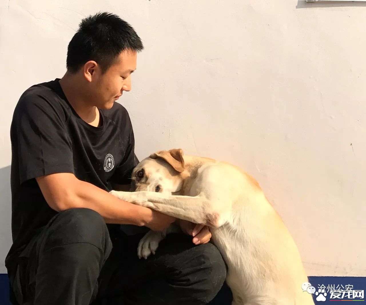 警犬训导员平日的工作是啥样的？揭秘和警犬“谈恋爱”的人