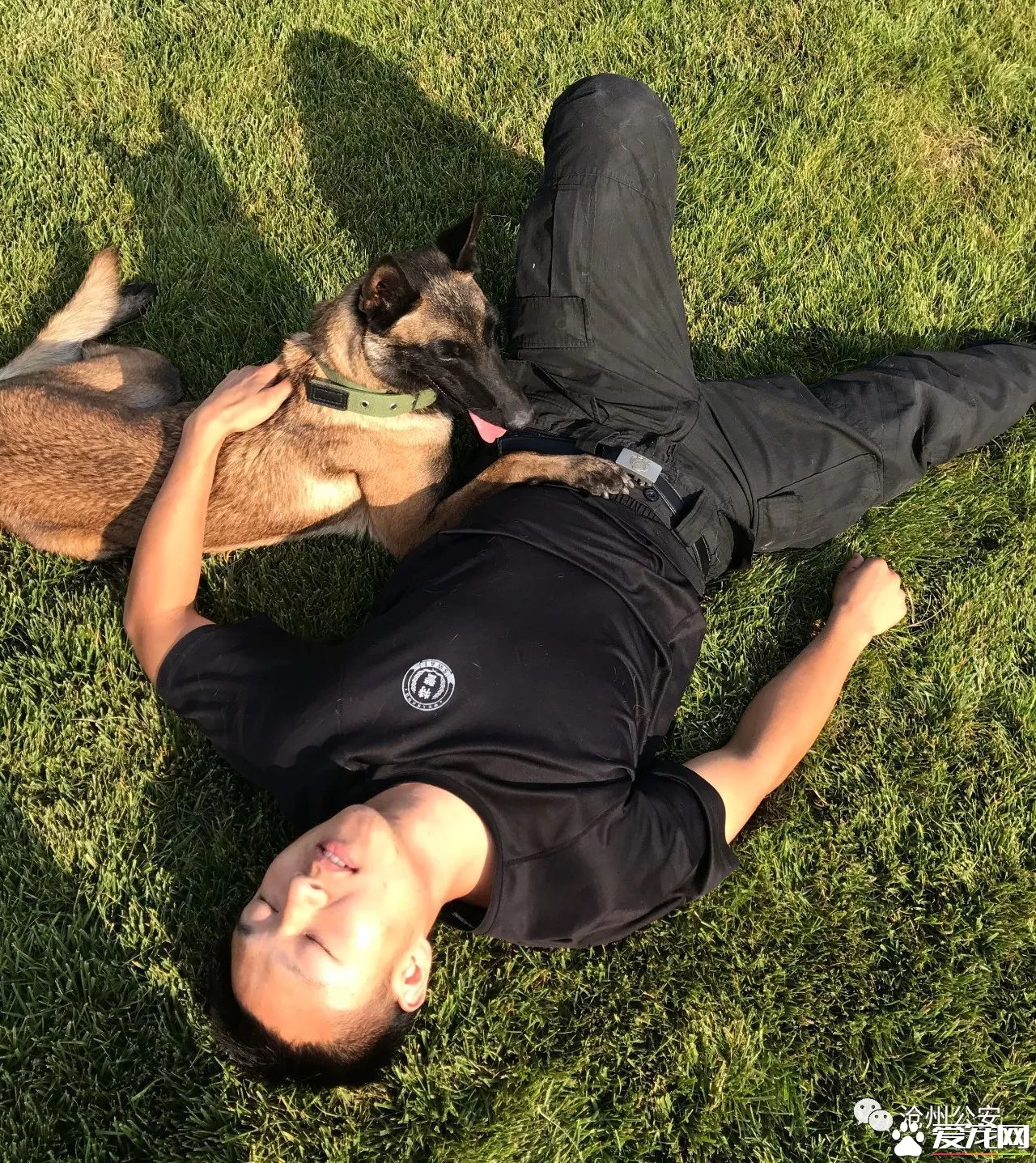 警犬训导员平日的工作是啥样的？揭秘和警犬“谈恋爱”的人