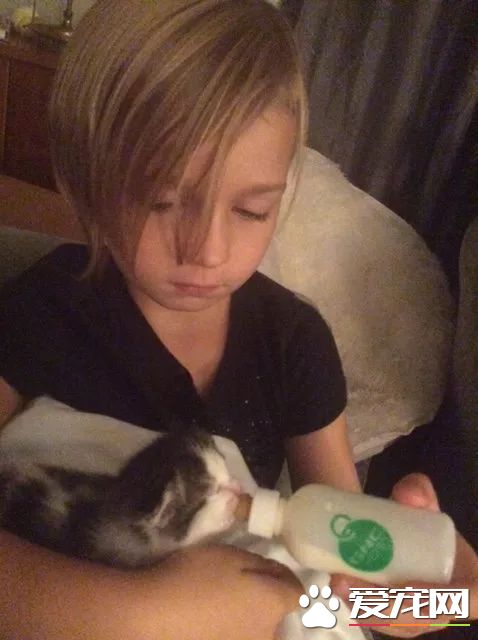 上天降临的小天使，8岁小女孩索菲亚或许是全世界最年轻的动保志愿者了！