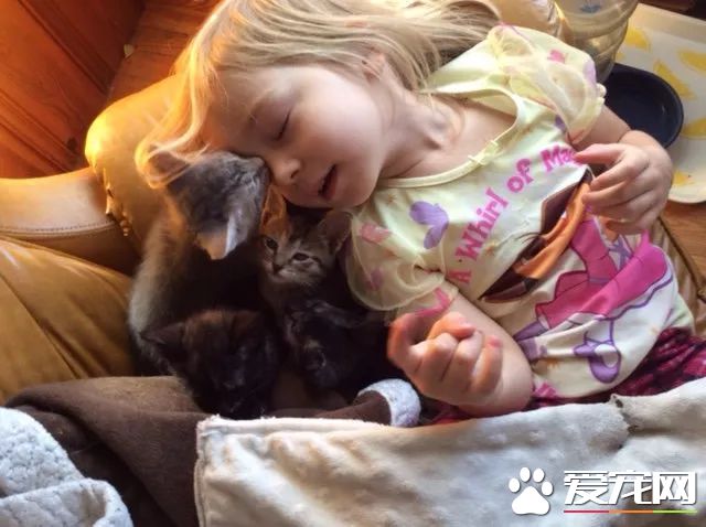 上天降临的小天使，8岁小女孩索菲亚或许是全世界最年轻的动保志愿者了！