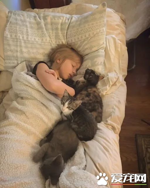 上天降临的小天使，8岁小女孩索菲亚或许是全世界最年轻的动保志愿者了！