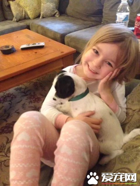 上天降临的小天使，8岁小女孩索菲亚或许是全世界最年轻的动保志愿者了！