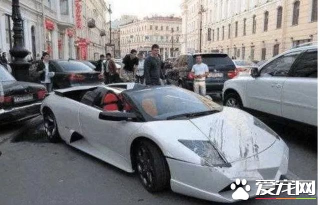 爱心爆棚女司机为了救狗，居然撞毁兰博基尼！