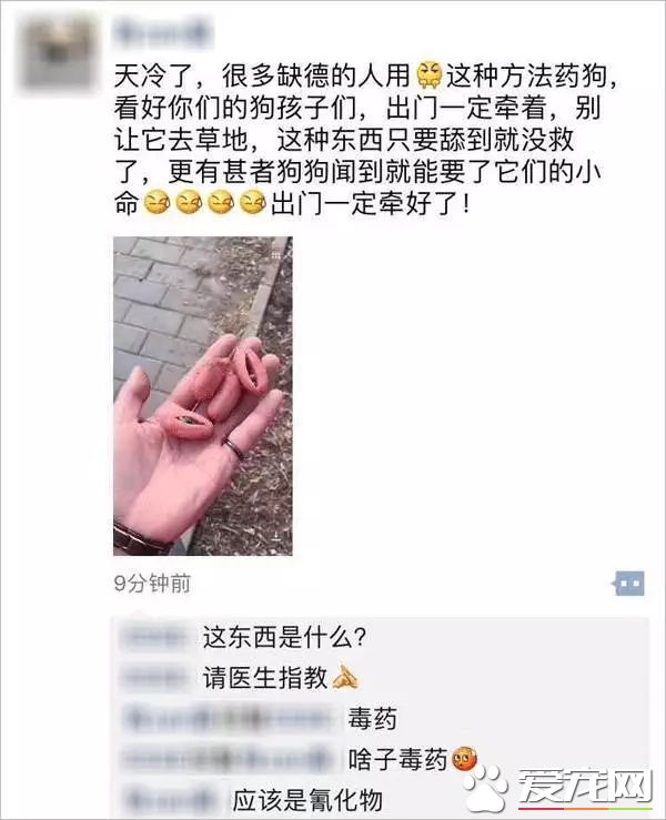 朋友圈被『毒香肠』刷屏了养狗好几年，香肠毒死它却只要几分钟
