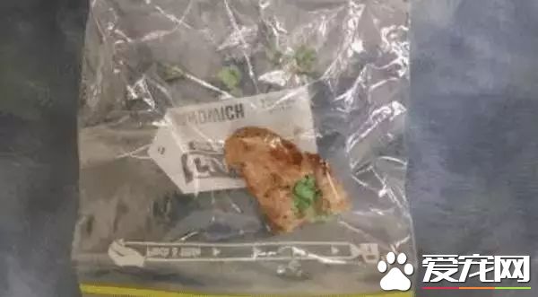 朋友圈被『毒香肠』刷屏了养狗好几年，香肠毒死它却只要几分钟