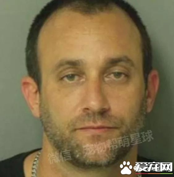 弗罗里达州警员们带上警犬参加枪战,其中一只狗狗的行为让所有人都超级感激!