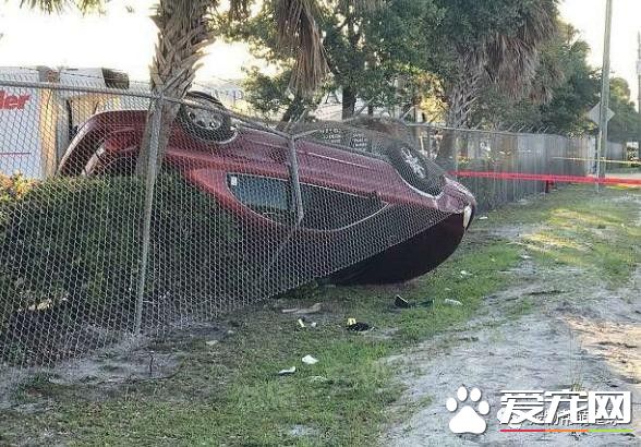 弗罗里达州警员们带上警犬参加枪战,其中一只狗狗的行为让所有人都超级感激!