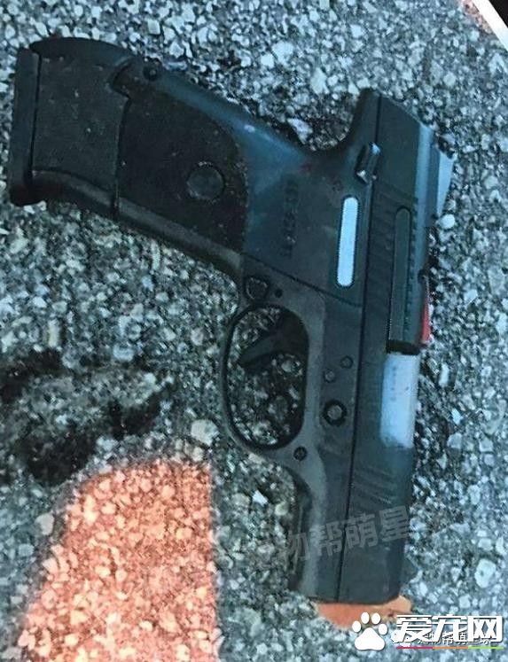 弗罗里达州警员们带上警犬参加枪战,其中一只狗狗的行为让所有人都超级感激!