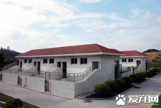 深圳“最萌公务员”不能处对象,也休姨妈假!警犬的私密生活大揭密