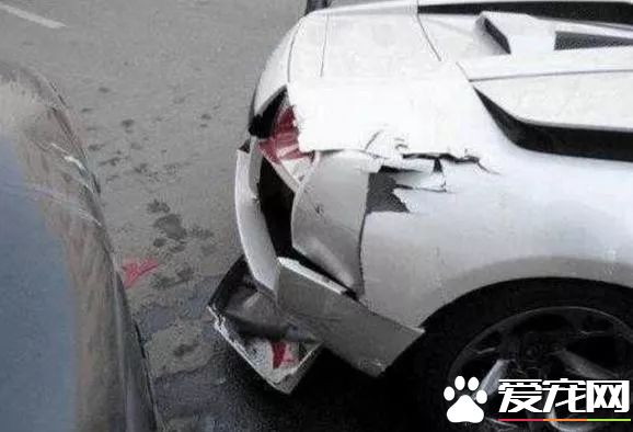 爱心爆棚女司机为了救狗，居然撞毁兰博基尼！