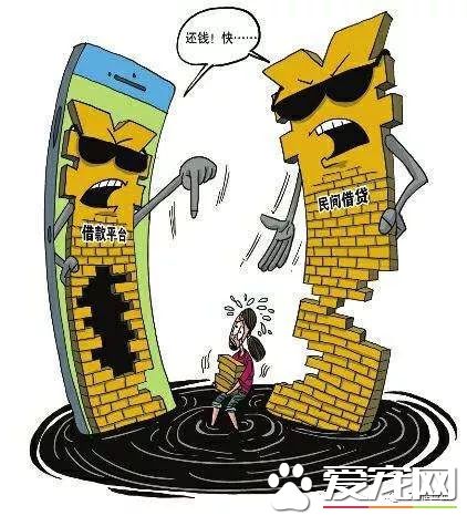 撸猫撸出70万债务？你是集齐这些网红猫了吗？