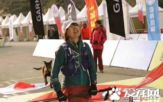 四川越野赛上日本姑娘拿出国旗想披身上，中华田园犬一个举动让人叫好！