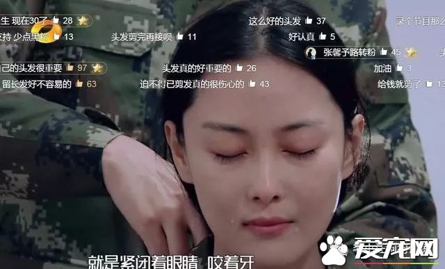 训犬狗狗不配合已经不算事儿了,《奇兵神犬》张馨予训犬都训到哭了