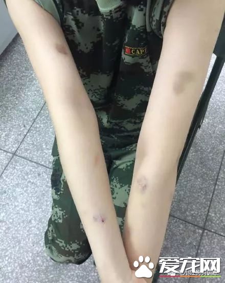 训犬狗狗不配合已经不算事儿了,《奇兵神犬》张馨予训犬都训到哭了