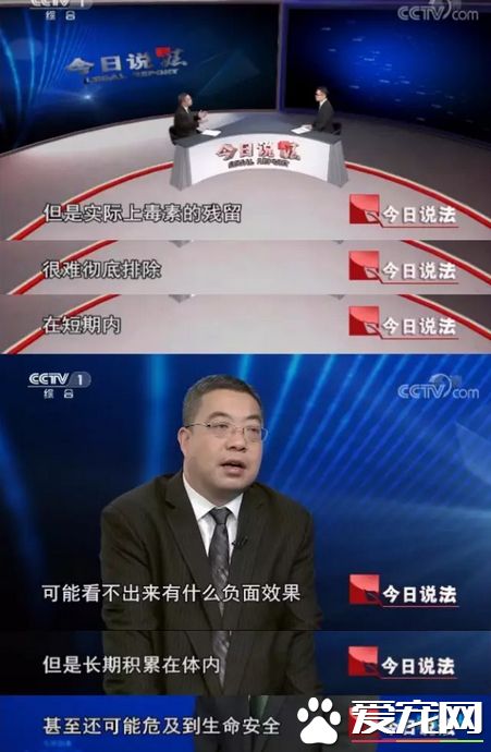 投毒害狗还想脱身？我们不答应，法律更不答应！