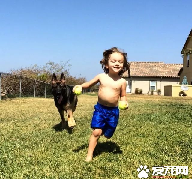 投毒害狗还想脱身？我们不答应，法律更不答应！