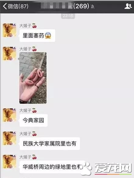 投毒害狗还想脱身？我们不答应，法律更不答应！