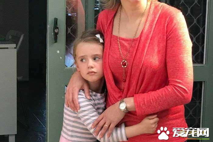 8周大的拉布拉多被偷,没想到小偷的行为却感动了网友