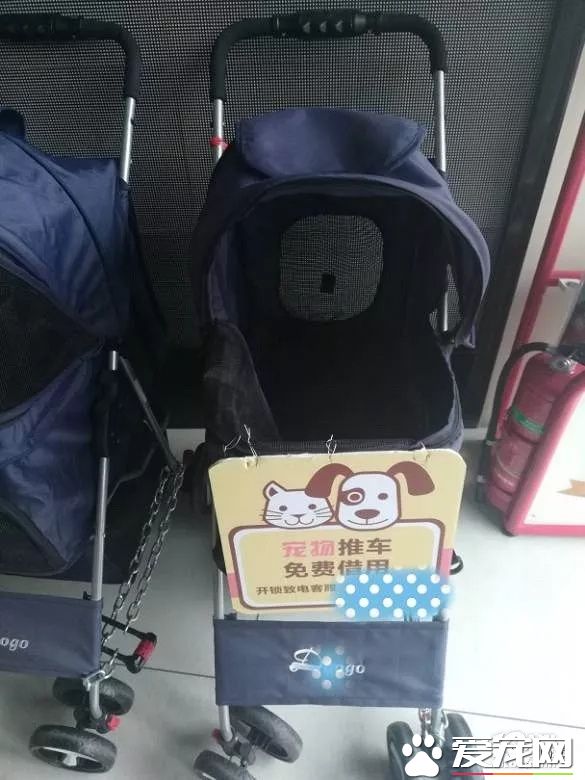 杭州一商场推出“宠物推车”，是人性化还是侵犯顾客权益？
