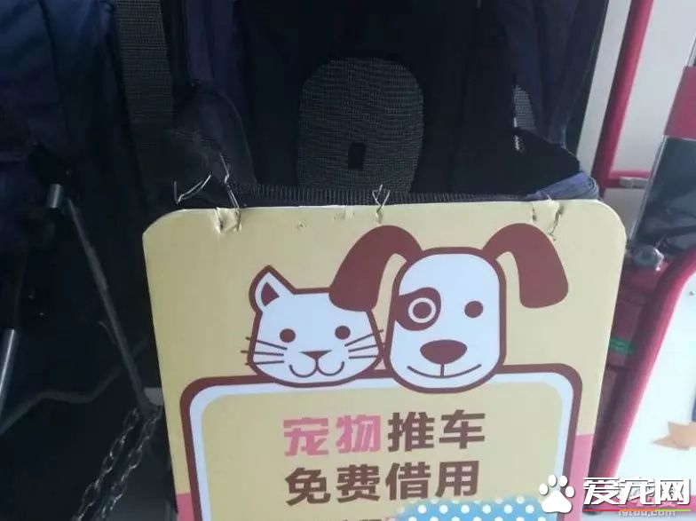 杭州一商场推出“宠物推车”，是人性化还是侵犯顾客权益？