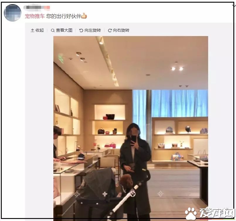 杭州一商场推出“宠物推车”，是人性化还是侵犯顾客权益？