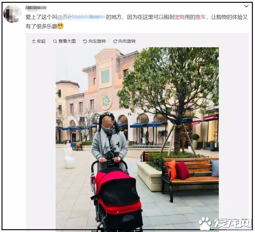 杭州一商场推出“宠物推车”，是人性化还是侵犯顾客权益？
