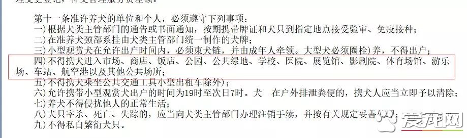 杭州一商场推出“宠物推车”，是人性化还是侵犯顾客权益？