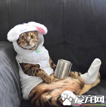 假期就是要如此悠闲地度过