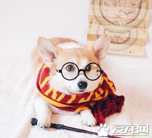 上我的课不认真听讲的可是要挨打的哦