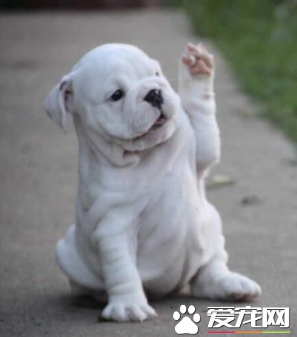 报告老师，我想上厕所