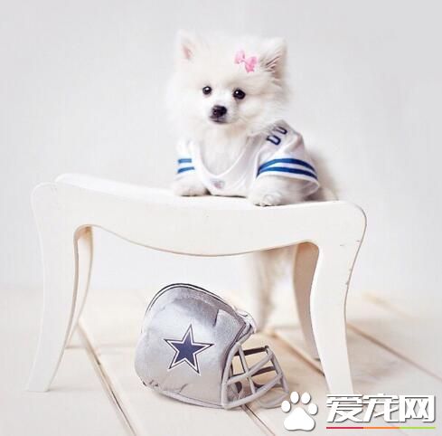 趴在这照相真的好看吗？主银