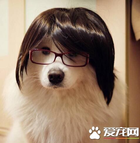 换了个发型，感觉自己帅呆了