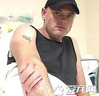 2名男子在美佛州海岸游泳 不慎被鲨鱼咬伤