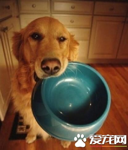 什么时候开饭？