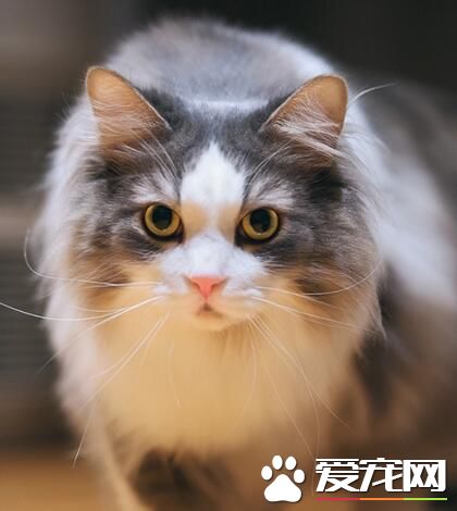 颜值高就是任性，怎么拍都是美