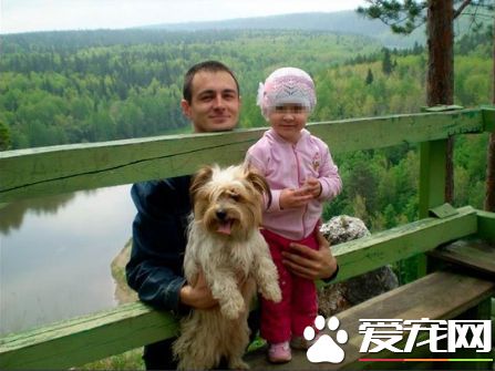 飞机上不能带狗 狗狗被遗弃在机场遭冻死