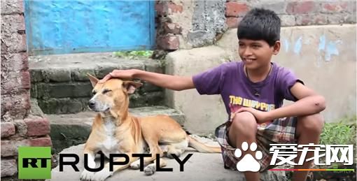 印度男童爱喝狗奶 休学禁足还是戒不掉