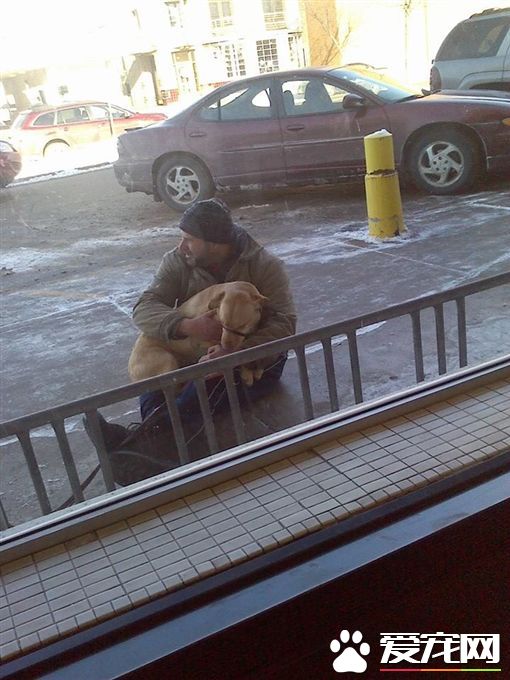 零下25度被绑在外 暖男用身体温暖狗狗