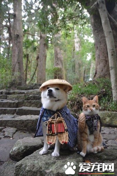 师兄弟下山维护世界和平