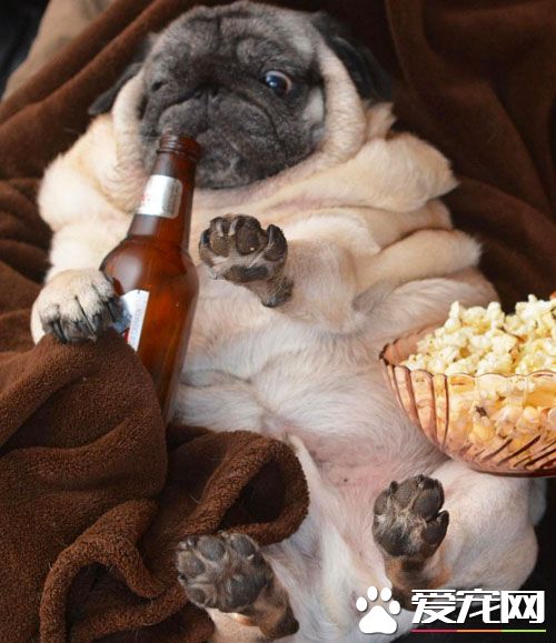 喝完这瓶真的不能再喝了