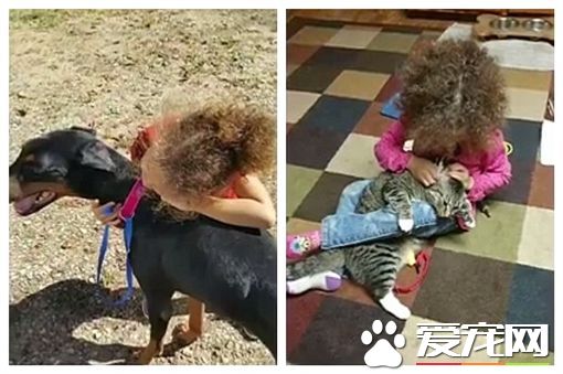 才领养5分钟 女童惨遭杜宾犬咬死身亡