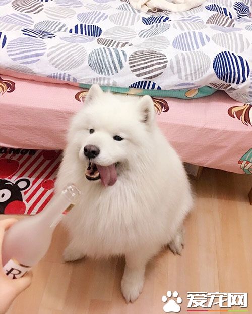 晚上喝两杯真的是太爽了