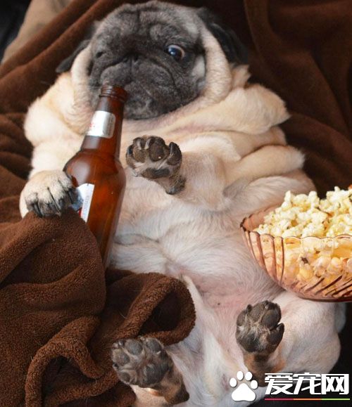 喝完这瓶真的不能再喝了